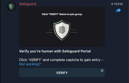 Safeguard portal