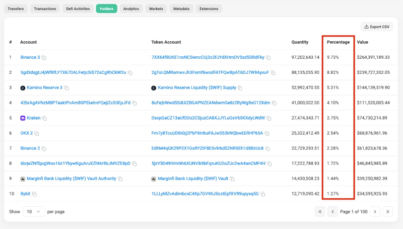 Screenshot of Solscan showing an example of a percentage of holders for a cryptocurrency